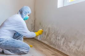 Why You Should Choose Our Mold Remediation Services in Hydesville, CA